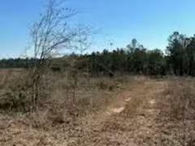 House for rent in Ozark