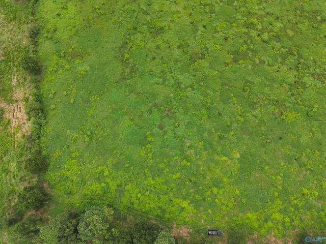 Land for sale in Boaz, Alabama