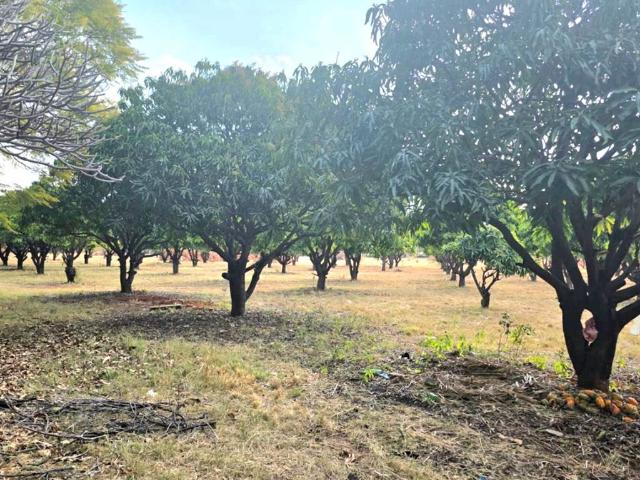 Farm for sale in Derby, North West