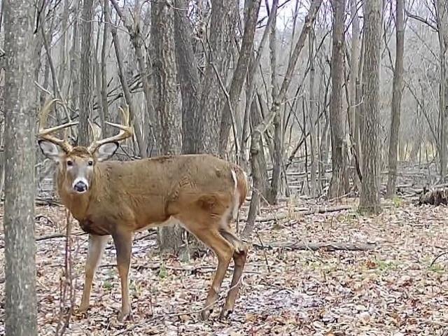 Land for sale in Oxford, Wisconsin