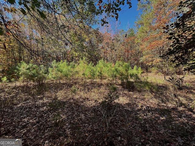 Land for sale in Elberton, Elbert County