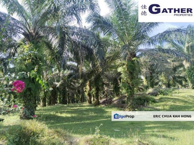 Shop for sale in Perak, Tapah