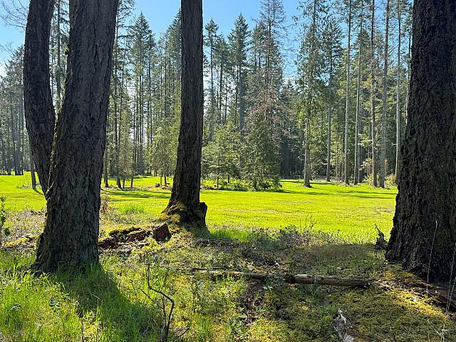 Land for sale in British Columbia