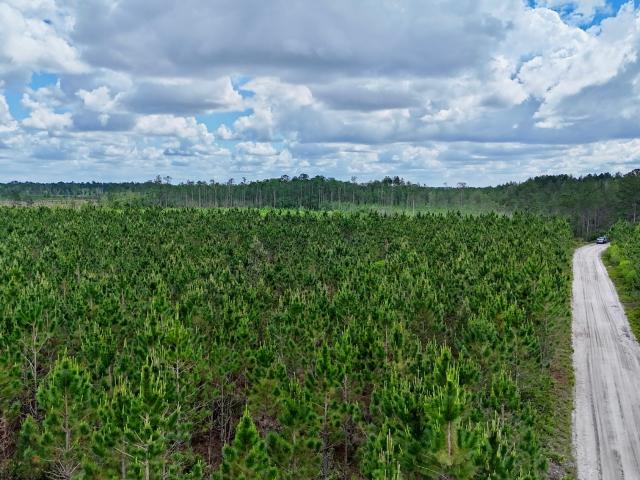 Land for sale in Odum, Georgia