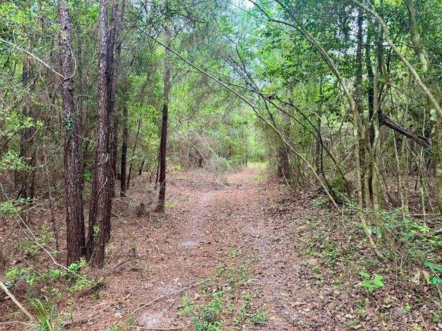 Land for sale in Hillister, Texas