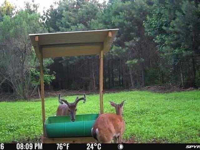 Land for sale in Woodland, Talbot County