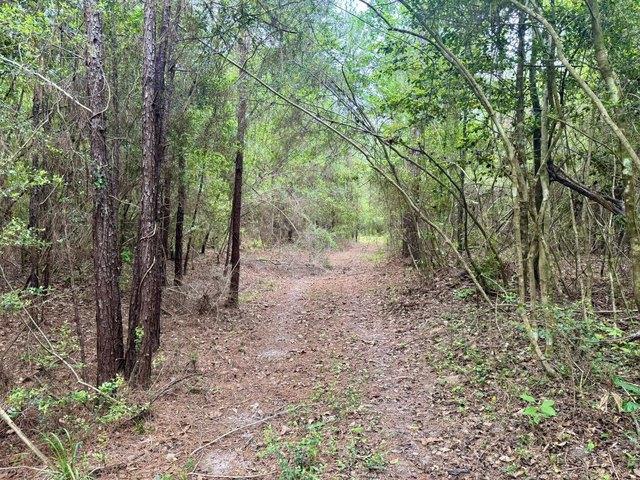 Land for sale in Hillister, Texas