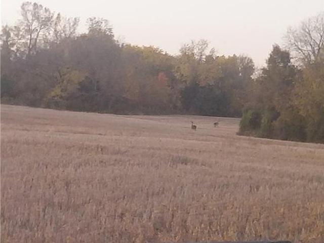 Farm for sale in Drexel, Missouri