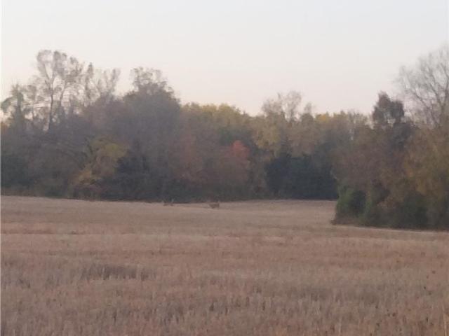 Land for sale in Drexel, Missouri