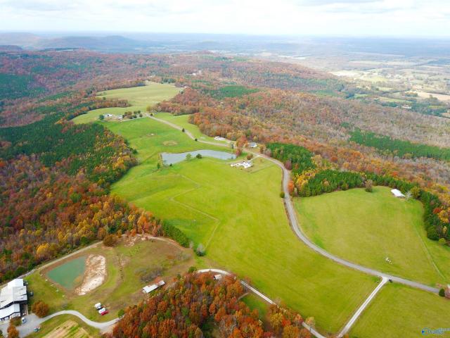 Land for sale in Eva, Alabama