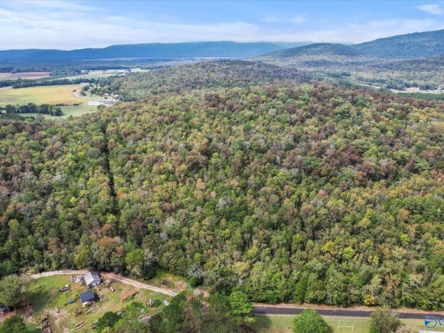 Land for sale in Woodville, Alabama