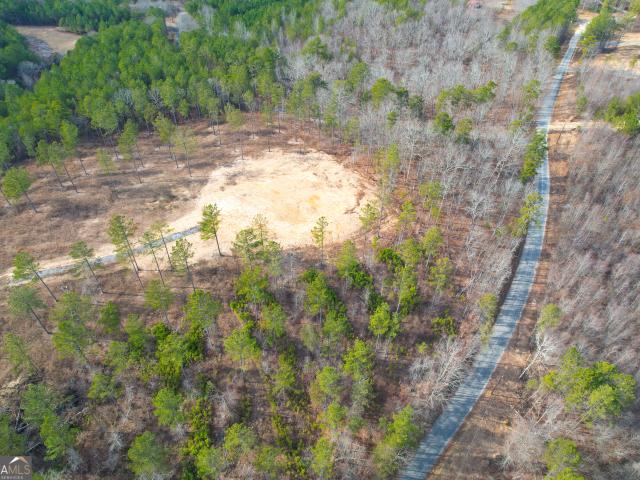 Land for sale in Lyerly, Georgia