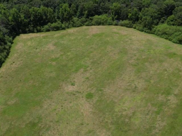Land for sale in Grant, Alabama