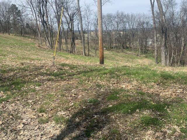 Land for sale in Tennessee