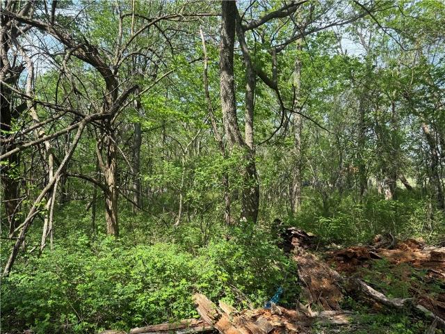 Land for sale in Linn Valley, Linn County