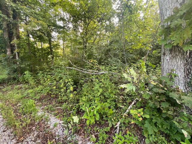 Land for sale in Somerset, Kentucky