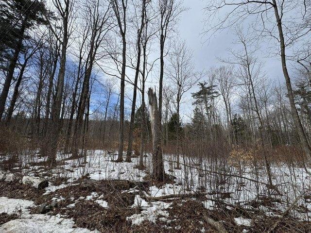 Land for sale in Salisbury, Vermont