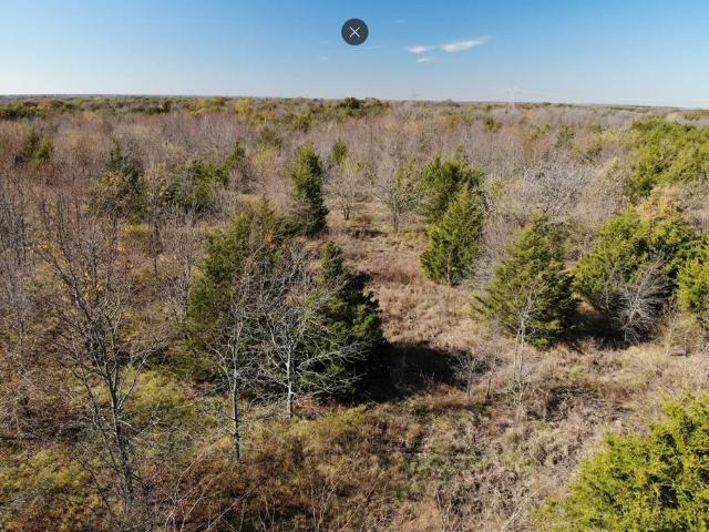 Land for sale in Fannin, Texas