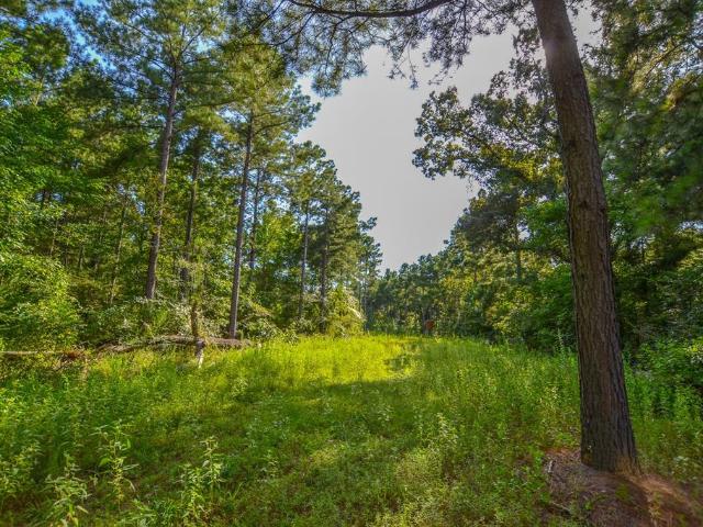 Land for sale in Henderson, Texas