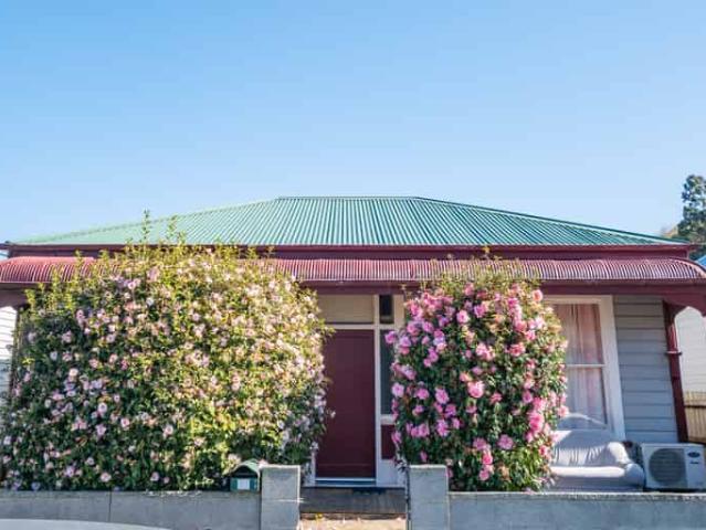 House for rent in Otakou