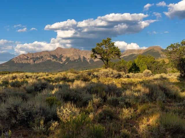 Land for sale in Colorado