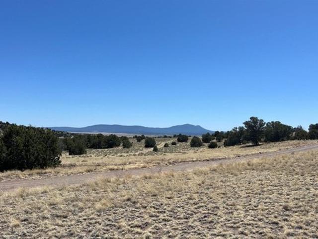 Land for sale in Quemado, Catron County