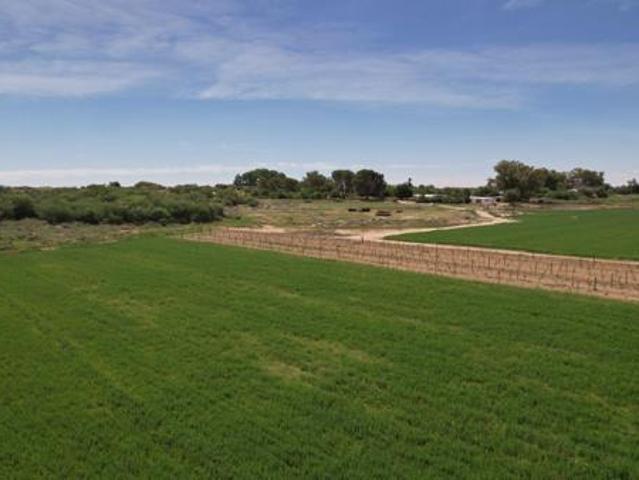 Farm for sale in Upington, Northern Cape