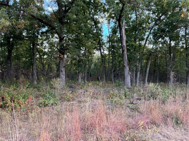 Land for sale in Missouri
