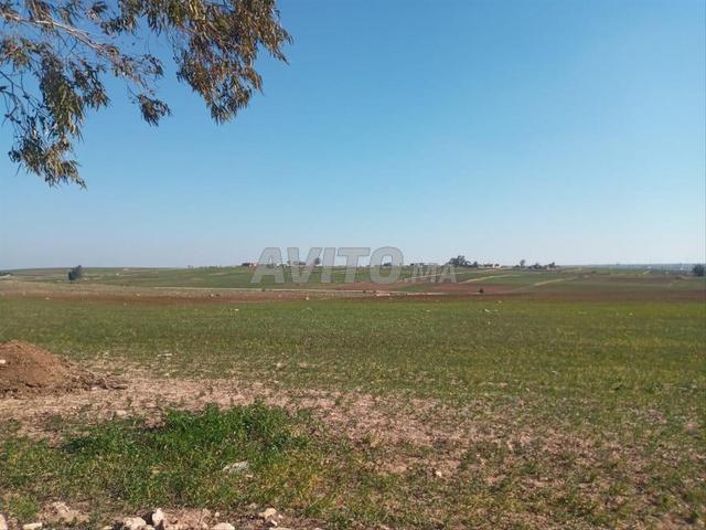 Propriété vente à El Ma, Gharb-Chrarda-Beni Hssen