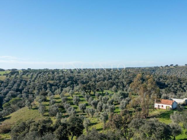 Vivenda venda em Montemor-o-novo, Évora