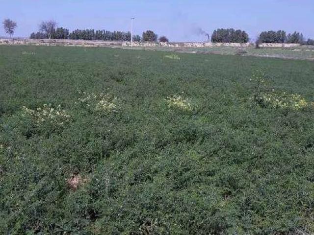Land for sale in Attock, Islamabad Capital Territory