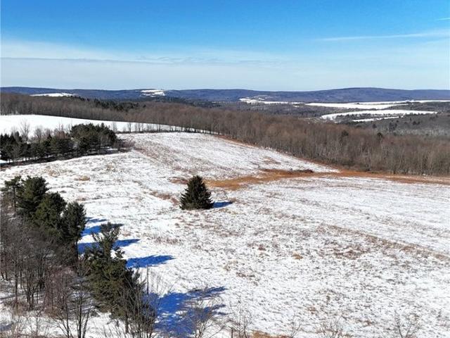 Farm for sale in New York
