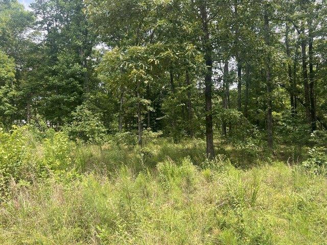 Land for sale in Tennessee