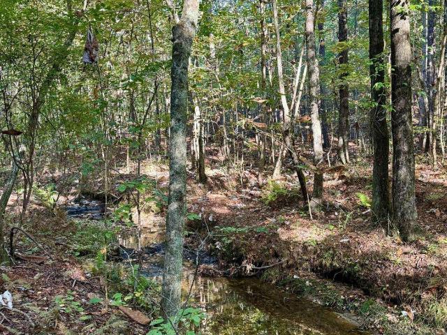 Land for sale in Dallas, Paulding County