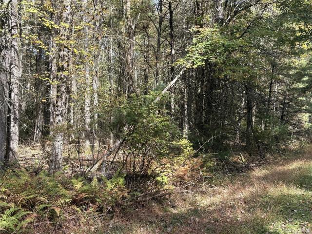 Land for sale in Bethel, New York