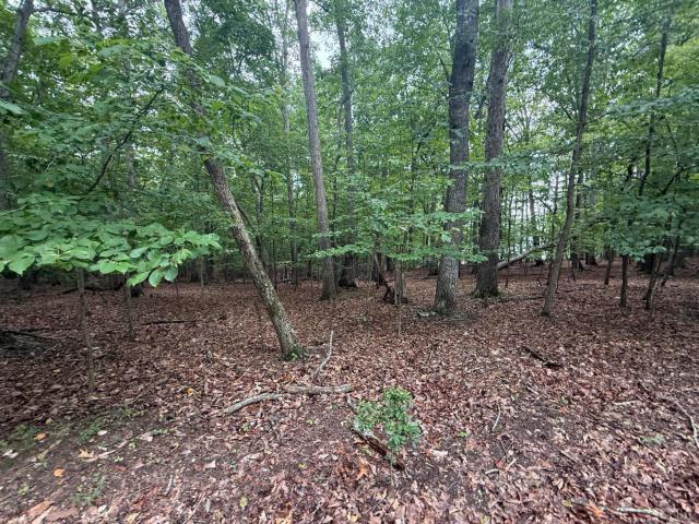 Land for sale in Virginia