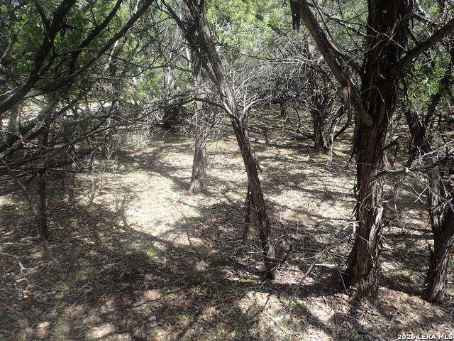 Land for sale in Texas