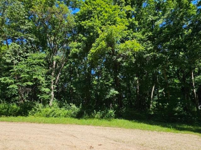 Land for sale in Putnam, Illinois