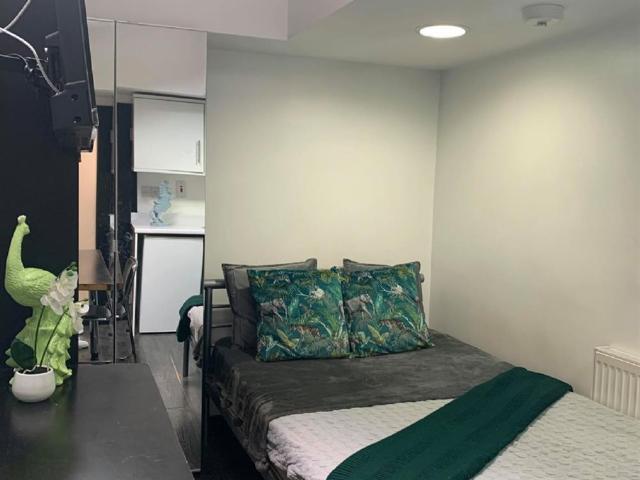 Studio for rent