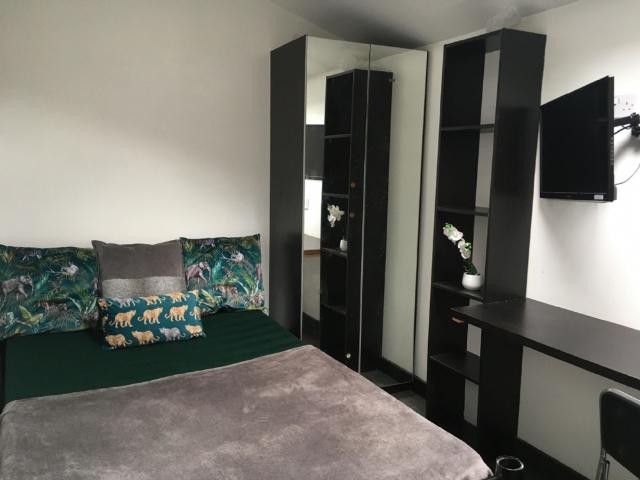 Studio for rent