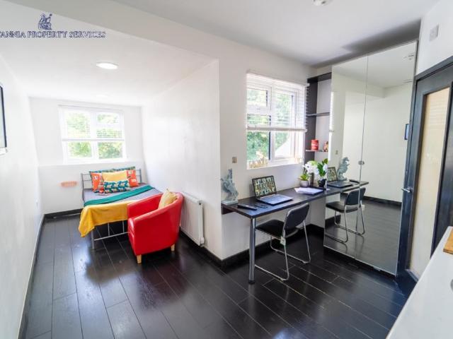 Studio for rent