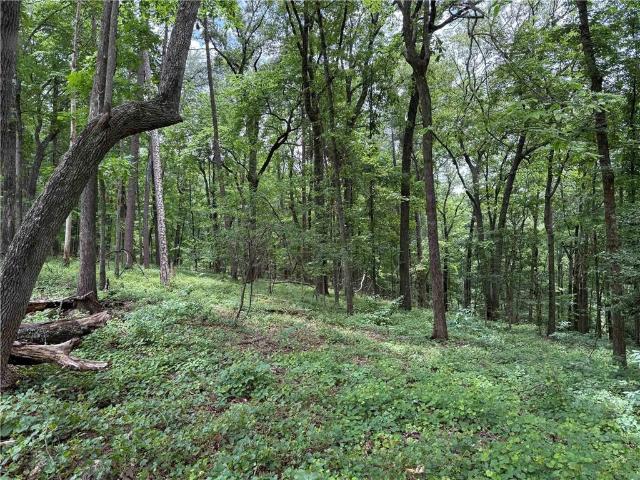 Land for sale in Dahlonega, Georgia