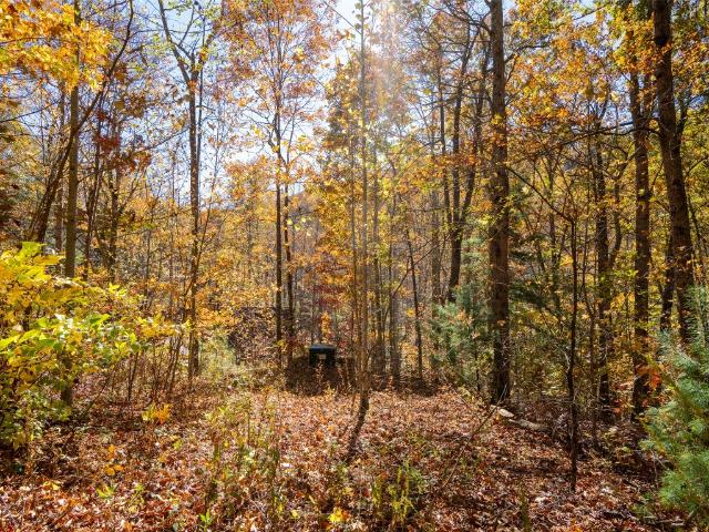Land for sale in North Carolina