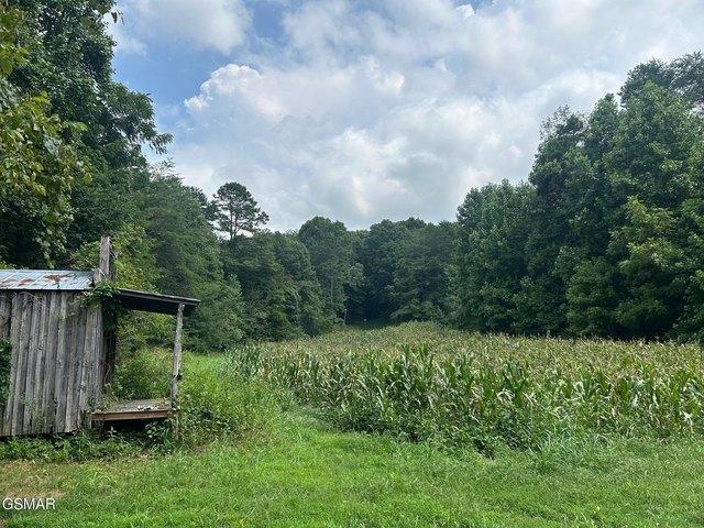 Land for sale in Tennessee