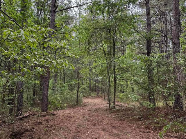 Land for sale in West Blocton, Alabama