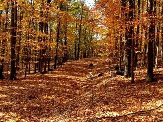 Land for sale in West Virginia
