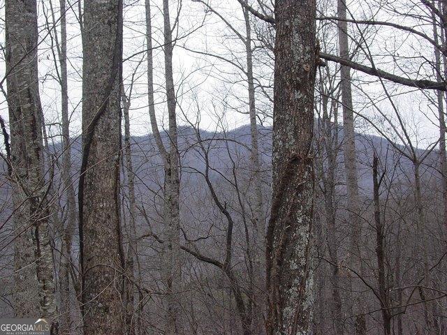 Land for sale in Hiawassee, Georgia