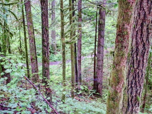 House for sale in Deming, Washington