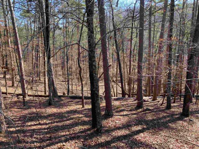 Land for sale in Ark