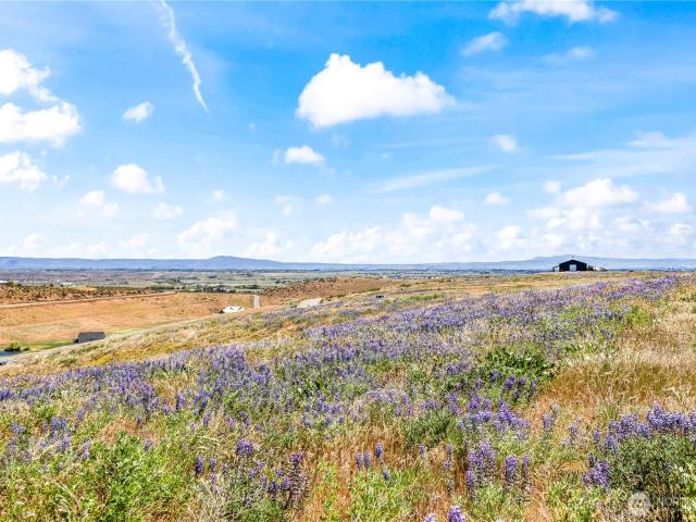 Land for sale in Ellensburg, Washington